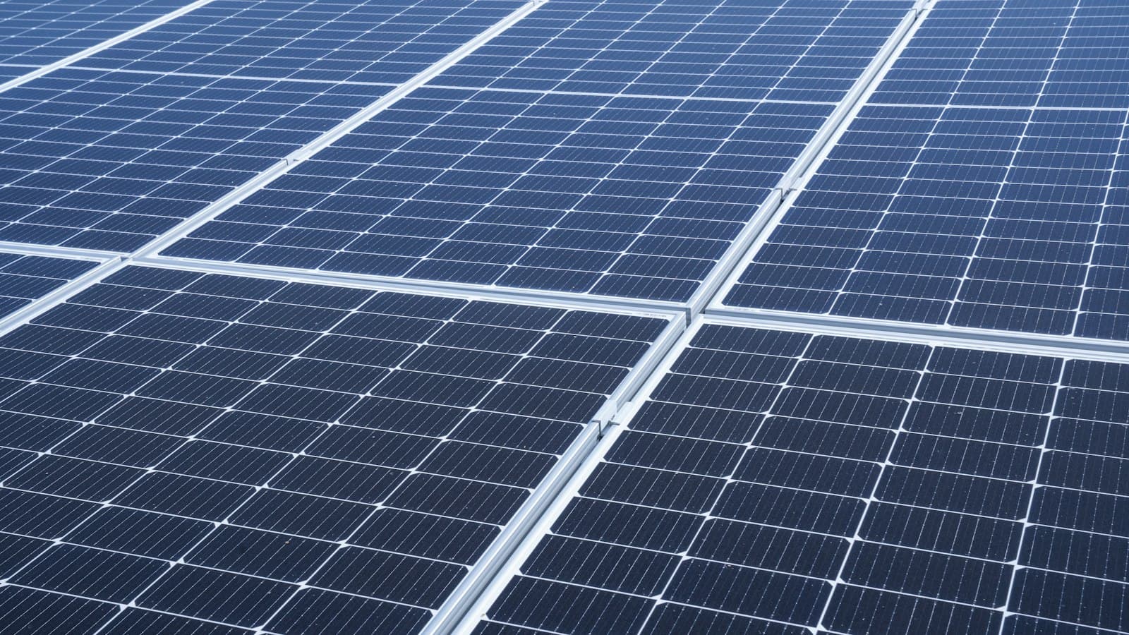 Rows of solar panels across a flat roof